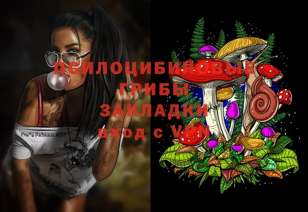 МДМА Белокуриха