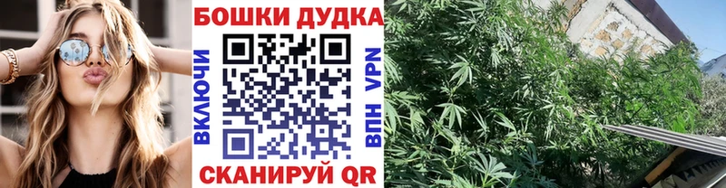 где можно купить   Вяземский  МАРИХУАНА семена 